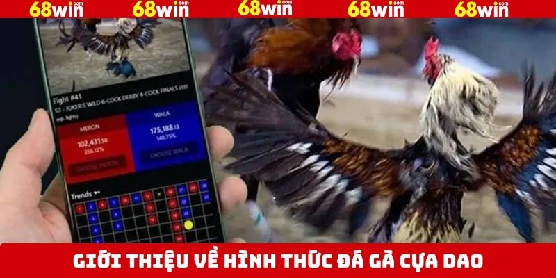 Đá Gà Cựa Dao - Bùng Nổ Với Các Trận Chiến Tại 68Win 2 Tóm gọn vài nét về loại hình giải trí đang được ưa chuộng